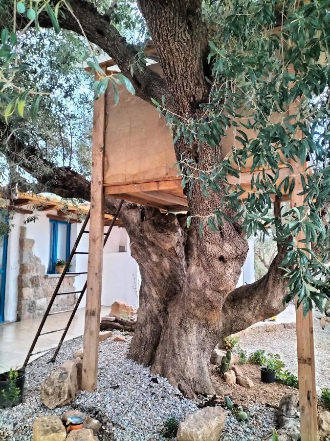 Bed and Breakfast Sole In Ogliastra Jerzu Zewnętrze zdjęcie