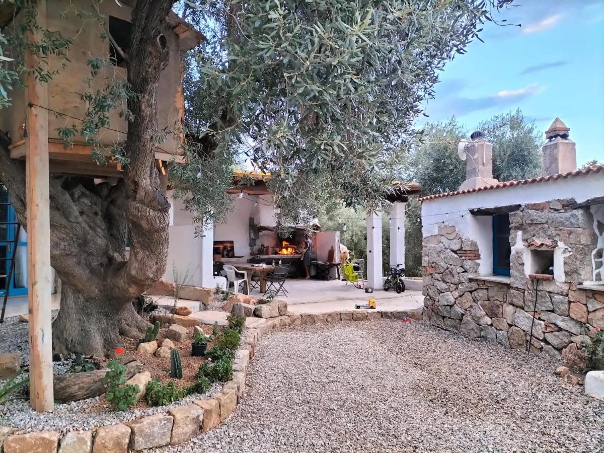 Bed and Breakfast Sole In Ogliastra Jerzu Zewnętrze zdjęcie