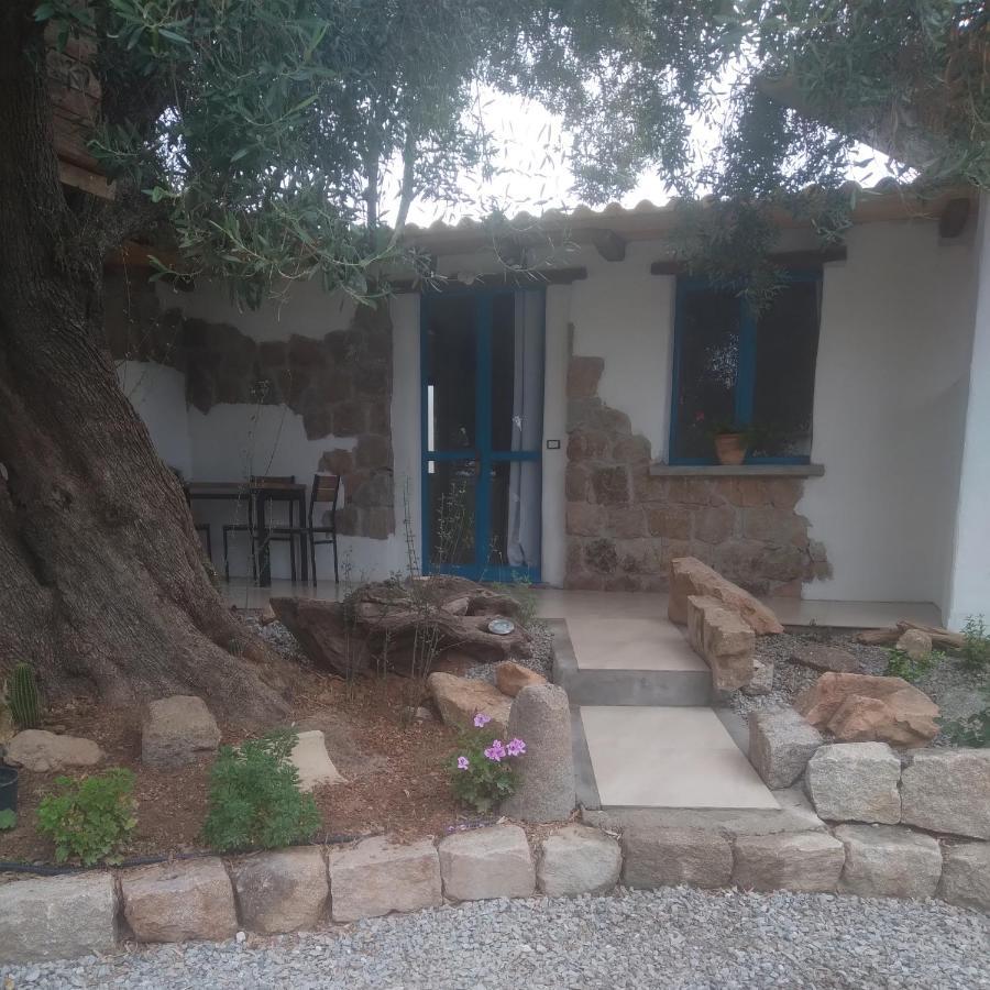 Bed and Breakfast Sole In Ogliastra Jerzu Zewnętrze zdjęcie