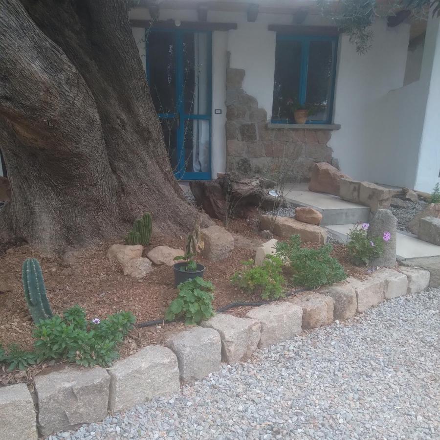 Bed and Breakfast Sole In Ogliastra Jerzu Zewnętrze zdjęcie