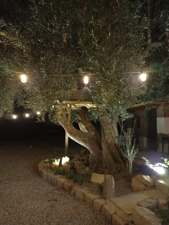 Bed and Breakfast Sole In Ogliastra Jerzu Zewnętrze zdjęcie